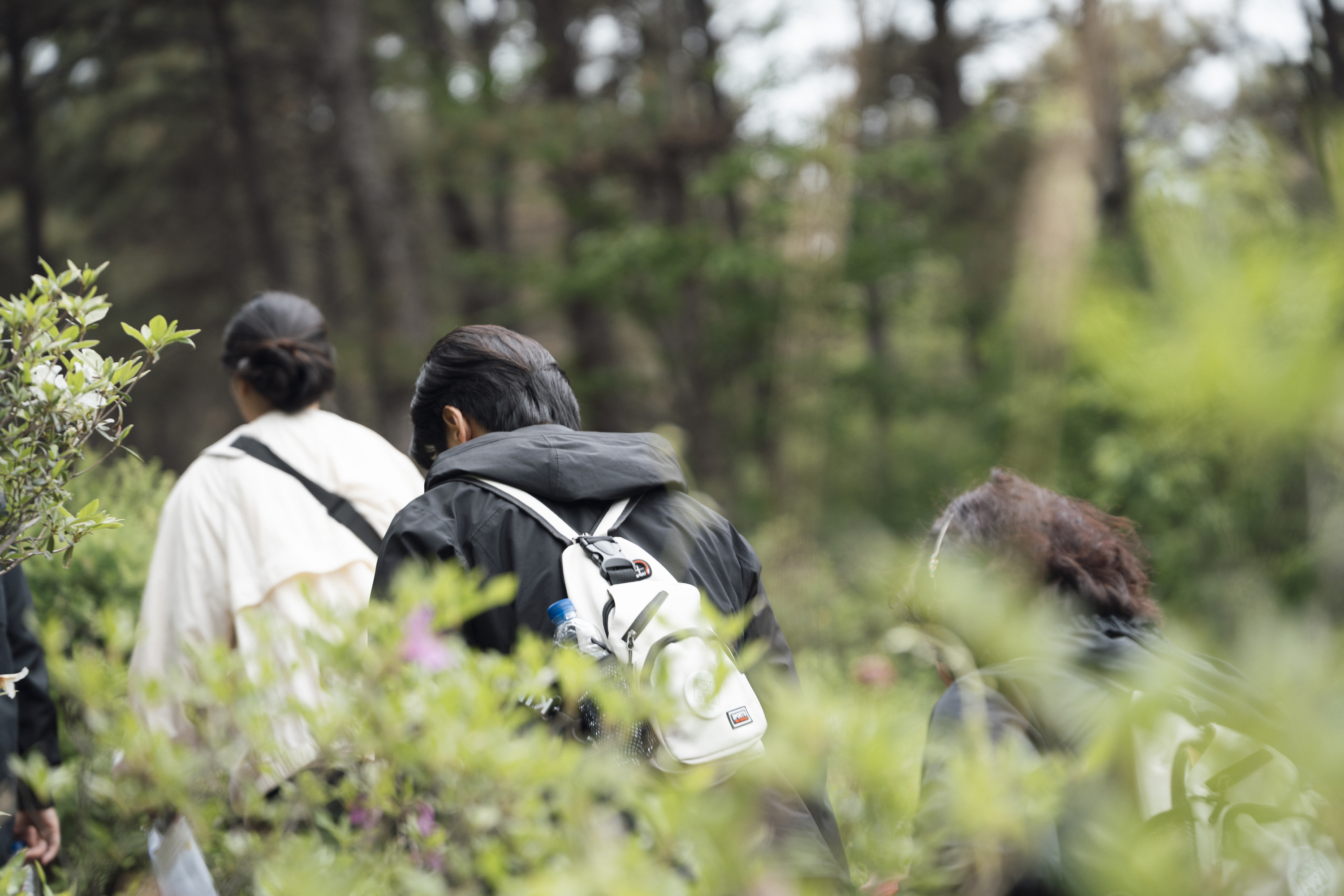 업로드된 이미지